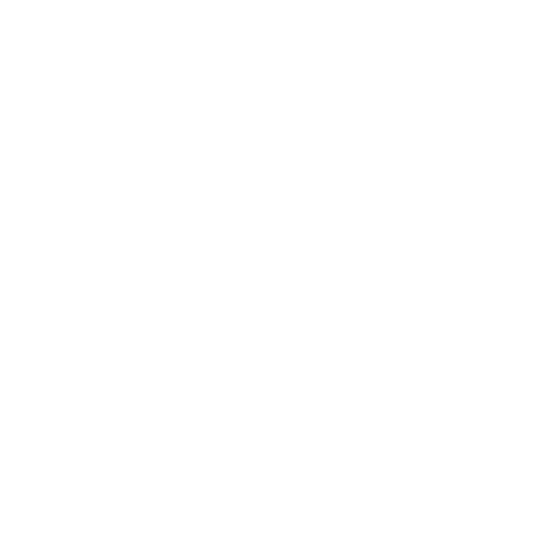 elaesemijoias